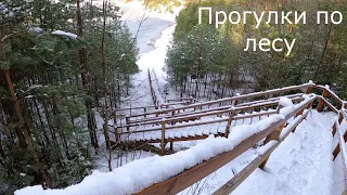 Прогулки по лесу | Иду домой через площадку обзора.