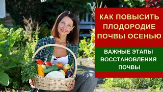 Как восстановить плодородие почвы осенью - важные этапы