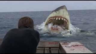 When do we first see the shark in Jaws?