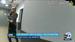 Man shot, killed by LAPD was holding plastic fork, video shows