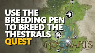 Use the breeding pen to breed the Thestrals Hogwarts Legacy