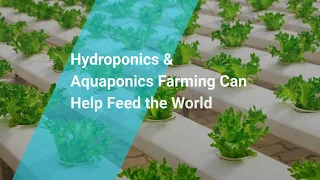 Secrets to feeding the world, eliminating food scarcity with hydroponics & aquaponics