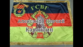 Александр Певчий - Карантин