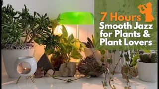 Smooth Jazz Music for Plants and Plant Lovers; 7 Hours Jazz Music for Happiness