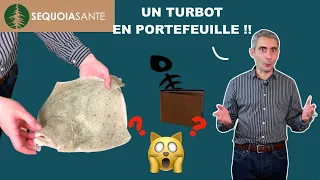 Le TURBOT en PORTEFEUILLE de Séquoia Santé !