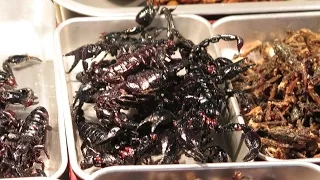 Eating Scorpions and Cockroaches. Bangkok Street Food, Thailand