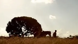 Zé Vaqueiro - Volta Pro Vaqueiro Volta (Vídeo Clipe)