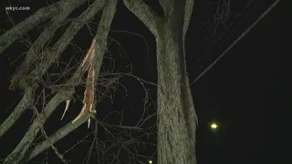 Strong storms hit Northeast Ohio: A look at the damage