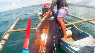 Traditional Hook Fishing - Giant Malasugi | Jackpot! Big Sailfish! | Philippines Primitive Fishing