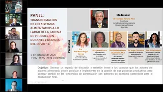 Ilsi Nor Andino Panel De Discusión Transformación De Los Sistemas Alimentarios Post Covid 19