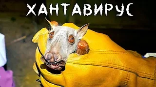 10 Самых Опасных Вирусов в Мире