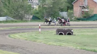 1.06.2024г. Абаканский Ипподром лошади старшего возраста орловской рысистой породы 1600м