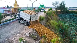 Full Action 3H Connecting Land By Dump Trucks 5T & Power Strong Bulldozer Spreading Stone Into Water