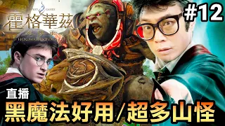 【霍格華茲的傳承】黑魔法超好用 | 超多山怪的一集 | Hogwart's Legacy (2023)