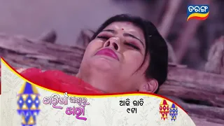 Tarini Akhira Tara | 26th Oct 2022 | Episodic Promo-1454 | Tarang TV | Odia serial Junction