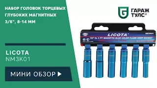 Набор головок торцевых глубоких магнитных 3/8" Licota NM3K01