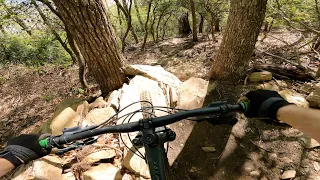 Black Mountain Trails are Still Really Awesome | Pisgah National Forest