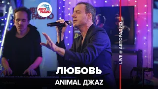 Animal ДжаZ - Любовь (LIVE @ Авторадио)