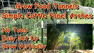 How to Easily Install Cattle Panel Food Tunnels in Your Vegetable Garden: No Tools Required!