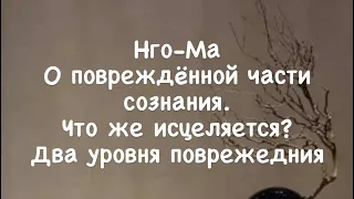 Нго-Ма 11. О поврежденной части сознания. Что же исцеляется? Два уровня повреждения.