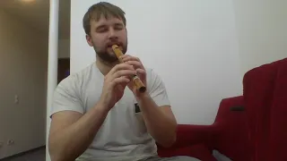 Ievan Polkka (leek spin) on a Polish recorder.