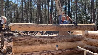 Log cabin build Highlights Part 7, new tool to make the job easier, harvesting more trees