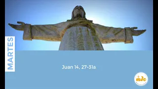 Juan 14,27-31a - Evangelio del día - Padre Luis Zazano