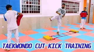 speed kick  How to Kick Faster  Taekwondo (Martial Arts) | Speed Agility Training for Taekwondo