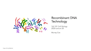 A Genetic World – Recombinant DNA Technology