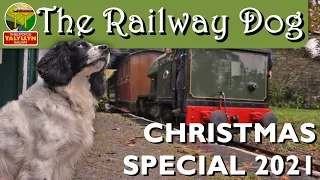 The Railway Dog - A Talyllyn Christmas Special