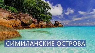 Экскурсия на Симиланские острова  Као Лак Таиланд Цены  Отзывы | Авитип