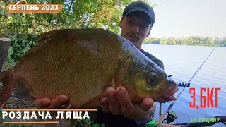 Ловимо ляща на Дніпрі на фідер🍀мега закорм на ляща ,36,7кг за одну сессію😁рибалка на ляща 2023