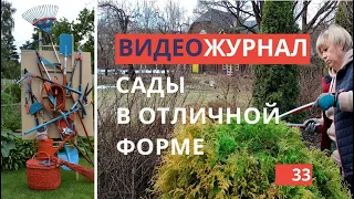 Видео журнал «Сады в отличной форме №33» Туи и можжевельники. Формируем правильно.