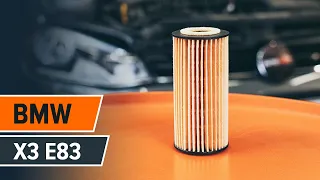 Cómo cambiar el aceite de motor, filtro de óleo en BMW X3 E83 INSTRUCCIÓN | AUTODOC
