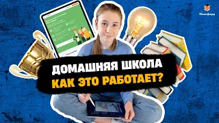 Учиться дома | Как устроено домашнее обучение в «Фоксфорде»