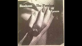 Bauhaus-Passion Of Lovers-Cover-(Extract)-One Shot-(Smartphone Demo Recording)
