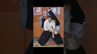 Aikido Guillaume Erard #budo #aikido
