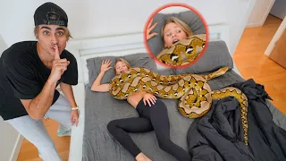 GIANT SNAKE REVENGE PRANK ON GIRLFRIEND!