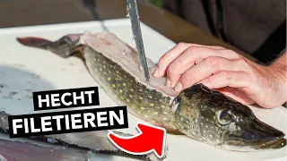 HECHT FILETIEREN für Anfänger (und 5 grätenfreie Filets erhalten!) 🐟🔪