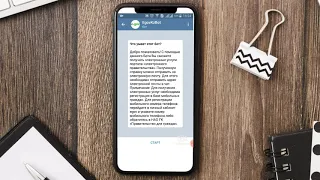 Telegram-бот портала Электронного правительства в районе Шал акына