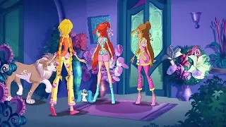 Клип от Jay Bay Winx / Музыка - если ты меня...