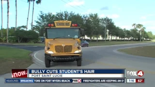 Bully cuts boy's hair