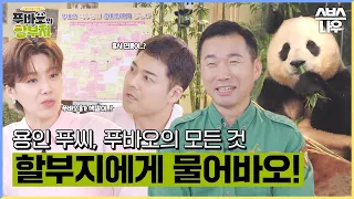 [1회 요약] 푸바오의 탄생부터 쌍둥바오 까지! 강철원 할부지가 알려주는 푸바오의 모든 것🐼 #푸바오와할부지 l SBSNOW