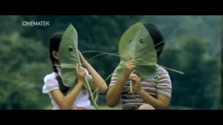 CLIP Green, green grass of home (Hou Hsiao-Hsien - 1983)