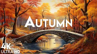 4K Autumn  Forest Relaxation Film 🍁 Peaceful Relaxing Piano Music - Autumn Landscape