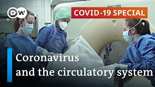 Autopsies reveal: Coronavirus is more than a lung infection | COVID-19 Special