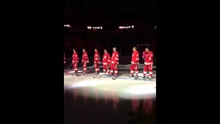 Your 2015-16 Detroit Red Wings