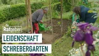 So gelingt der Gemüseanbau | Kleiner Schrebergarten – große Freiheit (1/5) | die Ratgeber