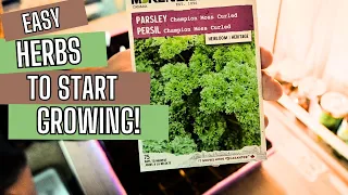 Easy Herbs To Start Growing!