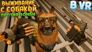 ВЫЖИВАНИЕ С СОБАКОЙ ПРОТИВ ЗОМБИ В ВР ( Arizona Sunshine 2 VR )